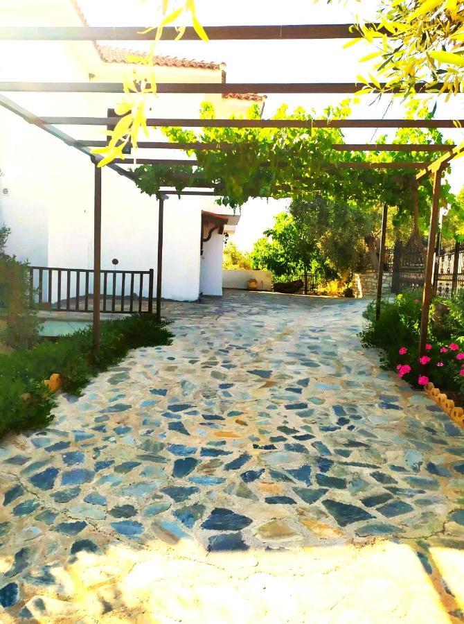 Villa Leonidas Greecefiloxenia Lefokastro Eksteriør bilde