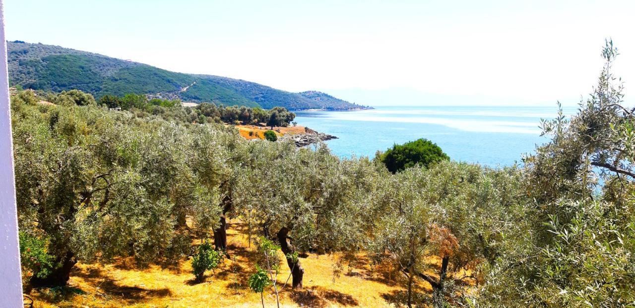 Villa Leonidas Greecefiloxenia Lefokastro Eksteriør bilde